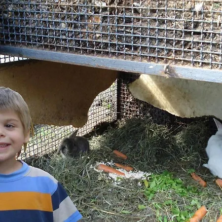 Apartman Trebbiano Gravedona