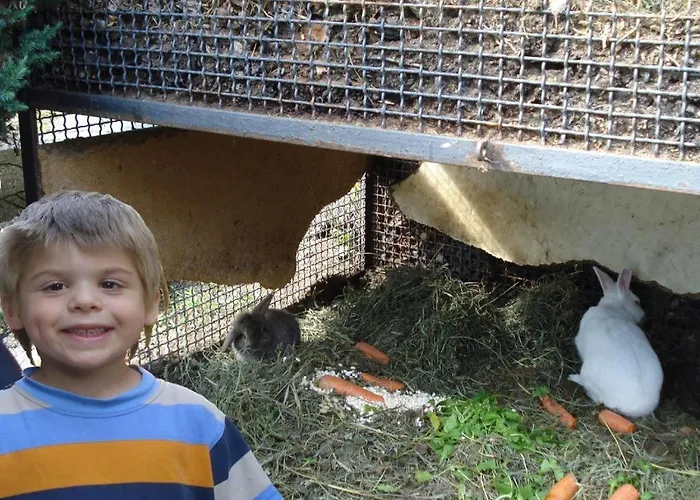 Apartamento Trebbiano Gravedona